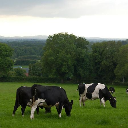 Ballindrum Farm B&B Атай Екстер'єр фото